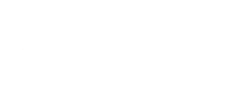 Vanguard Medical Instruments