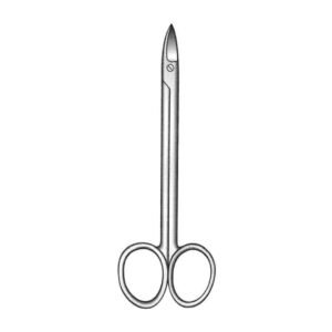 Quinby Scissor - Length = 12.5 cm / 5", Curved
