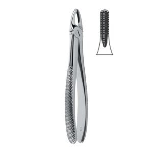 Extraction Forceps English Pattern, Fig. 2, 16,0 cm