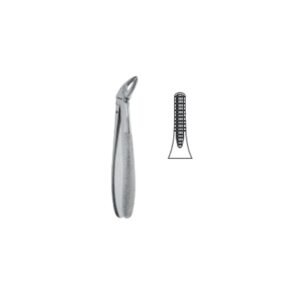 Extraction Forceps English Pattern, Fig. 4, 15,0 cm