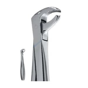 Extraction Forceps English Pattern, Fig. 73, 14,5 cm