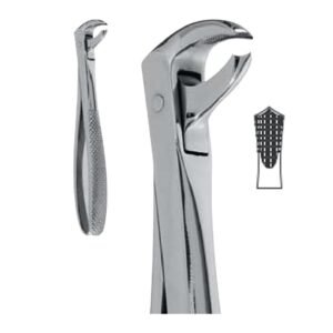 Extraction Forceps English Pattern, Fig. 73S, 14,5 cm