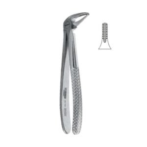 Root Forceps English Pattern, Fig. 33C, 15,0 cm