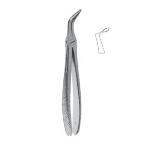 Root Forceps English Pattern, Fig. 35F, 17,5 cm