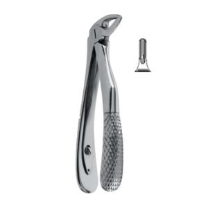 KLEIN Extraction Forcep 10,5 cm
