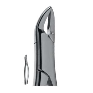HULL Extraction Forceps 15,5 cm