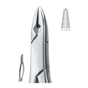 Extraction Forceps American Pattern, Fig. 1, 18,0 cm