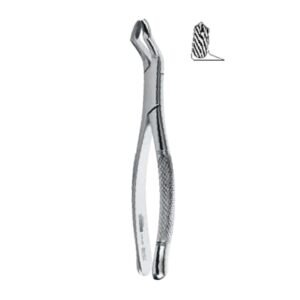 Extraction Forceps American Pattern, Fig. 53L, 18,0 cm